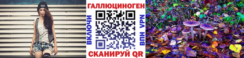 хочу   Озёрск  Галлюциногенные грибы Psilocybine cubensis 